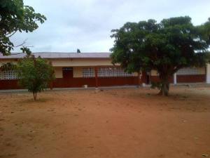 10254029_308185152676911_3874216802181736393_n